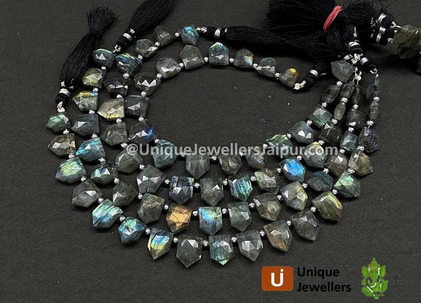 Labradorite Faceted Pentagon Beads